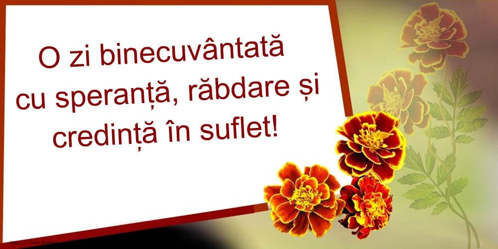 Felicitari de buna dimineata - O zi frumoasă! - mesajeurarifelicitari.com