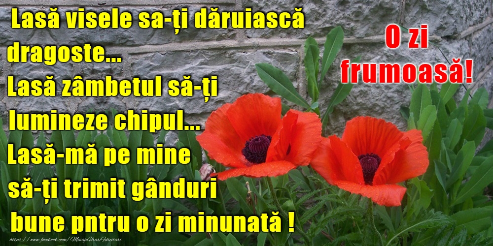 Felicitari de buna dimineata - O zi frumoasă! - mesajeurarifelicitari.com