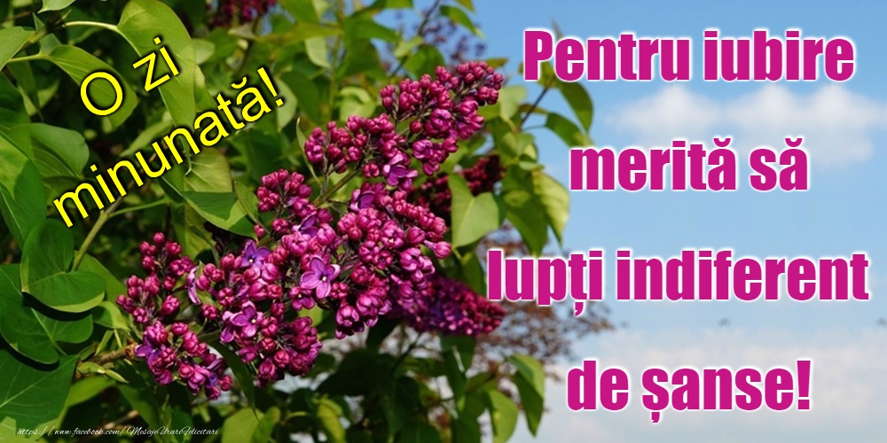 Felicitari de buna dimineata - O zi frumoasă! - mesajeurarifelicitari.com