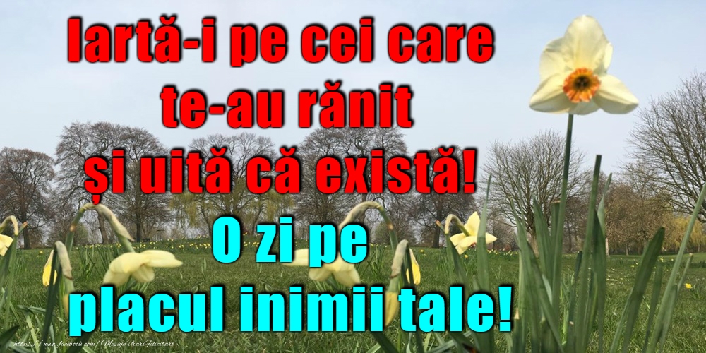 Felicitari de buna dimineata - O zi frumoasă! - mesajeurarifelicitari.com