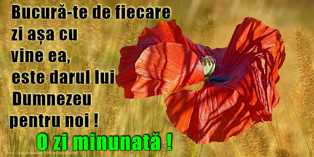 Felicitari de buna dimineata - O zi frumoasă! - mesajeurarifelicitari.com
