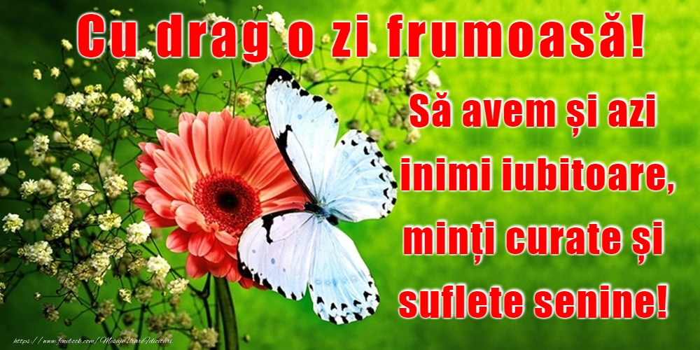O zi frumoasă!