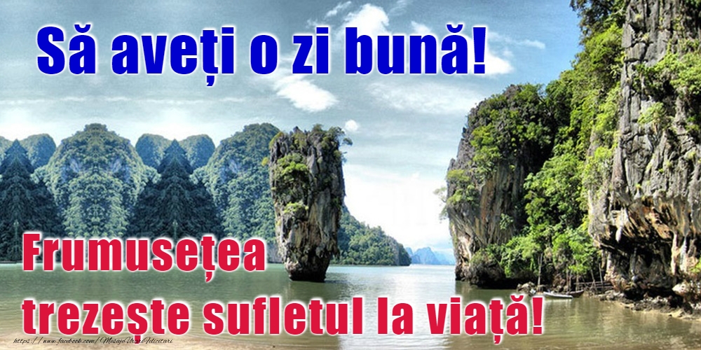 Felicitari de buna dimineata - O zi frumoasă! - mesajeurarifelicitari.com