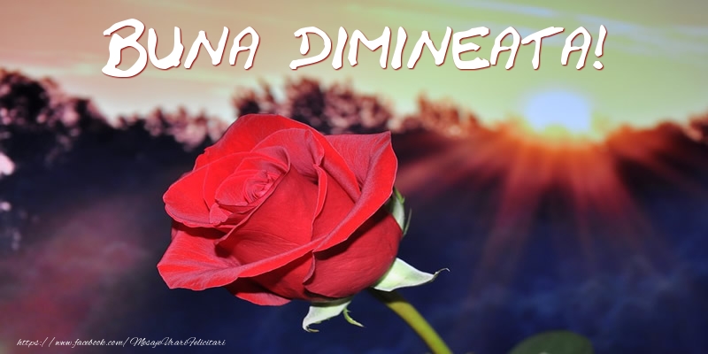 Buna dimineata!