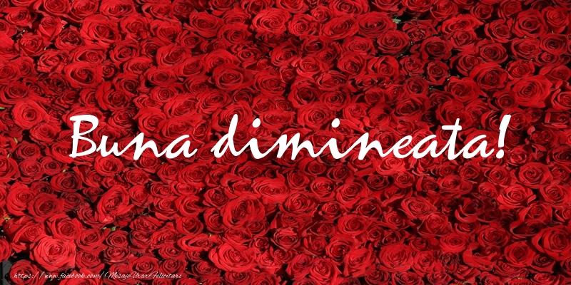 Buna dimineata!