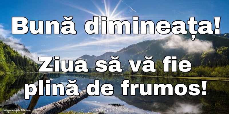 Bună dimineața!