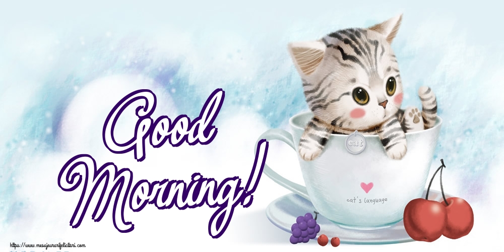 Felicitari de buna dimineata in Engleza - Good Morning!