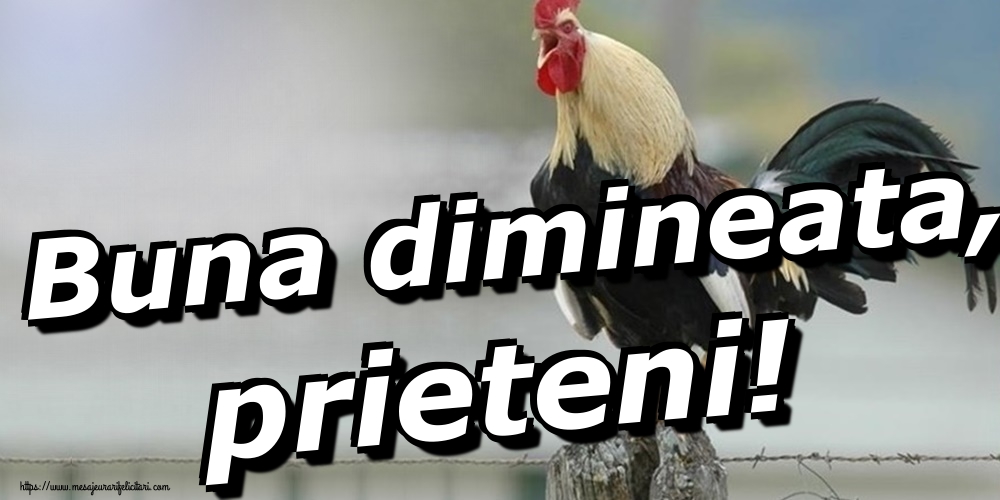 Felicitari de buna dimineata - Buna dimineata, prieteni! - mesajeurarifelicitari.com