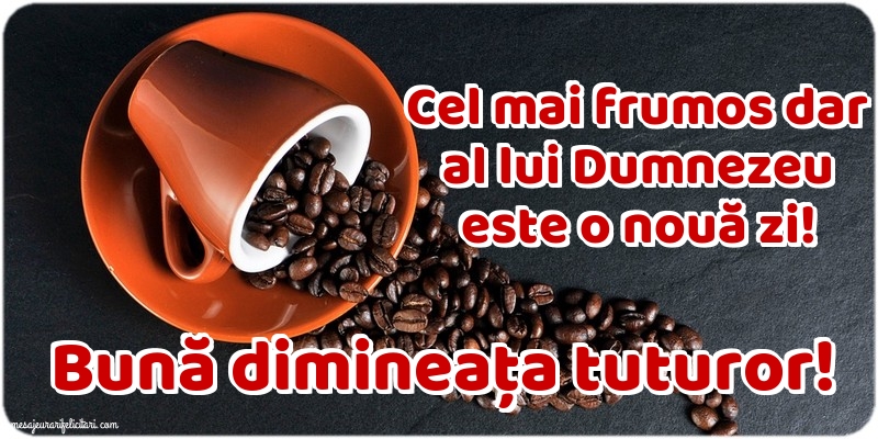 Felicitari de buna dimineata - Bună dimineața tuturor! Nu există viață perfectă - mesajeurarifelicitari.com