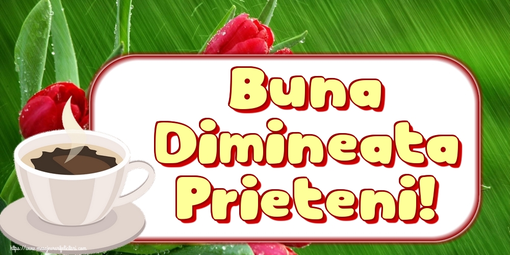Buna Dimineata Prieteni!
