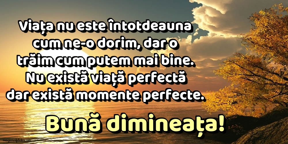 Felicitari de buna dimineata - Bună dimineața! - mesajeurarifelicitari.com