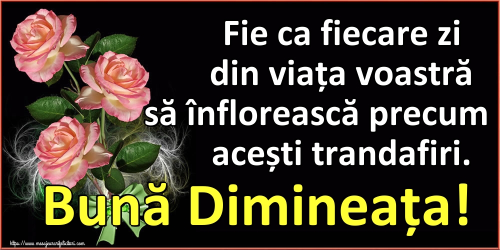 Fie ca fiecare zi din viața voastră să înflorească precum acești trandafiri. Bună Dimineața!