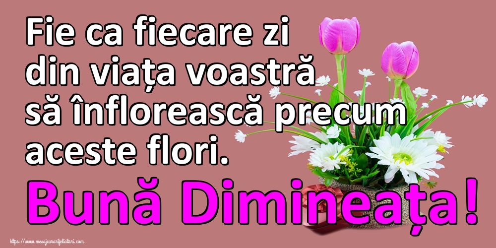 Fie ca fiecare zi din viața voastră să înflorească precum aceste flori. Bună Dimineața!