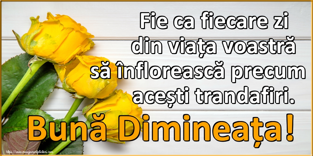 Felicitari de buna dimineata - Fie ca fiecare zi din viața voastră să înflorească precum acești trandafiri. Bună Dimineața! - mesajeurarifelicitari.com