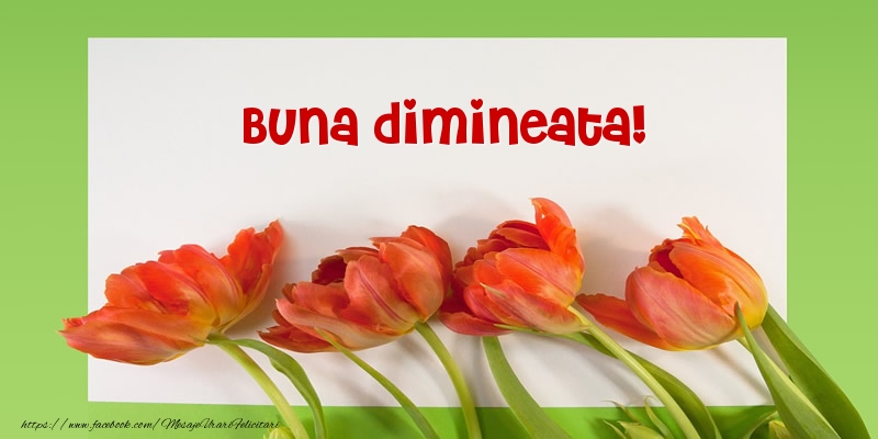 Buna dimineata!