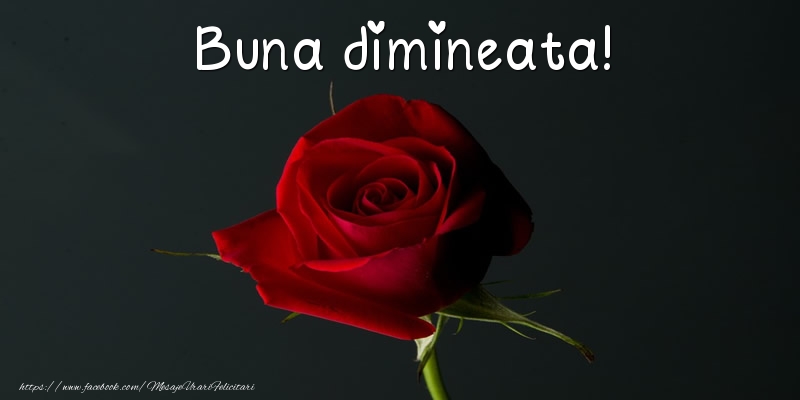 Buna dimineata!