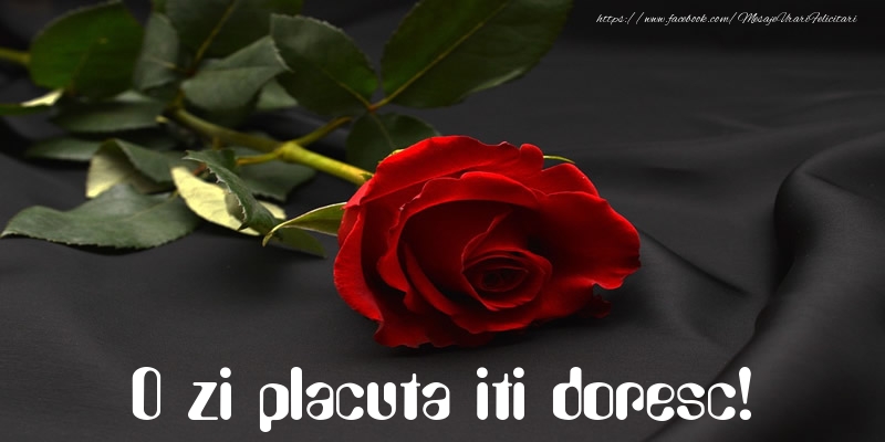 O zi placuta iti doresc!