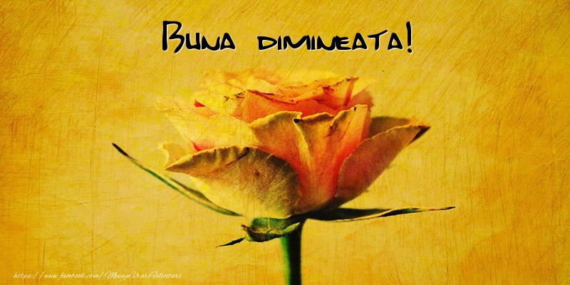Buna dimineata!