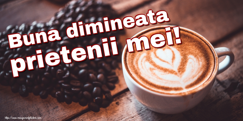 Buna dimineata prietenii mei!
