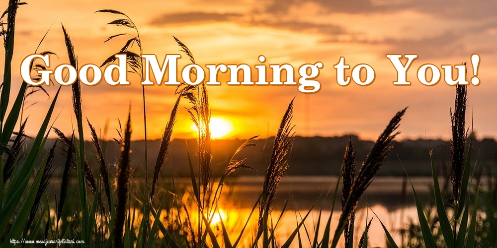 Felicitari de buna dimineata in Engleza - Good Morning to You!