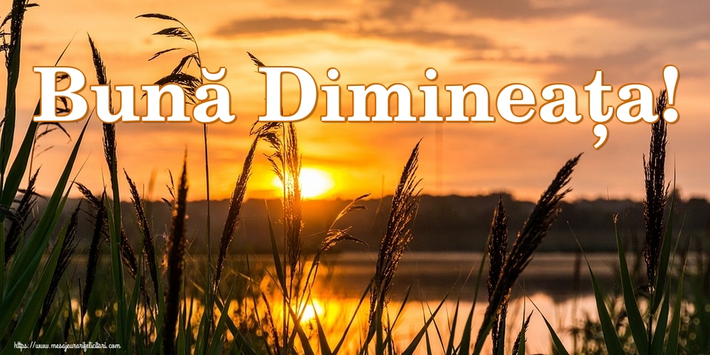 Bună Dimineața!