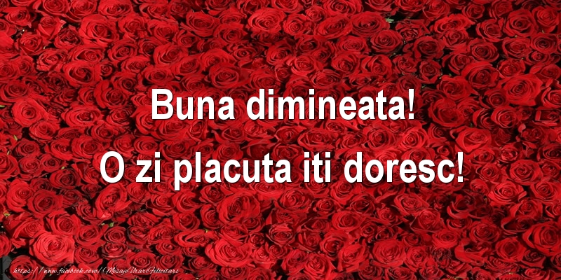 Buna dimineata! O zi placuta iti doresc!