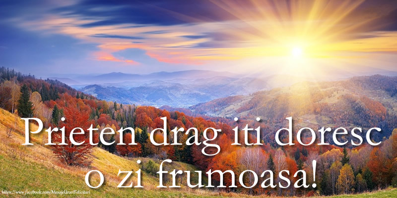 Prieten drag iti doresc o zi frumoasa!