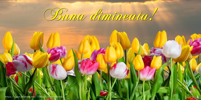 Buna dimineata!