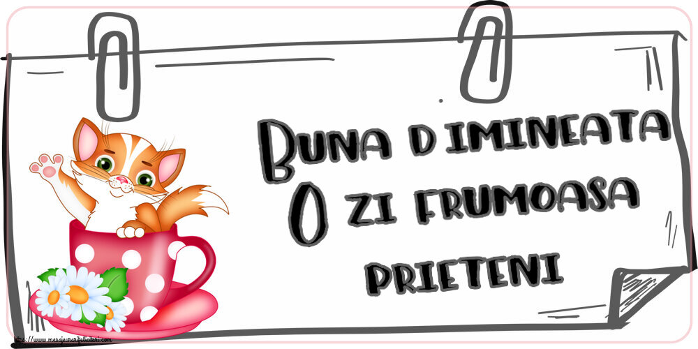 Buna dimineata! O zi frumoasa, prieteni!