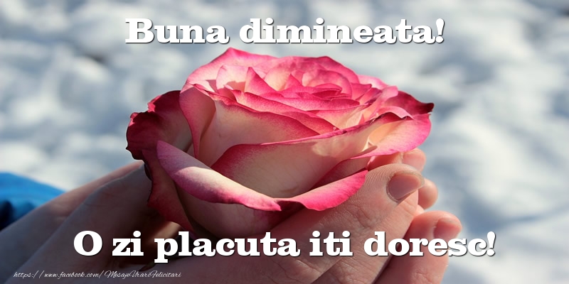 Buna dimineata! O zi placuta iti doresc!