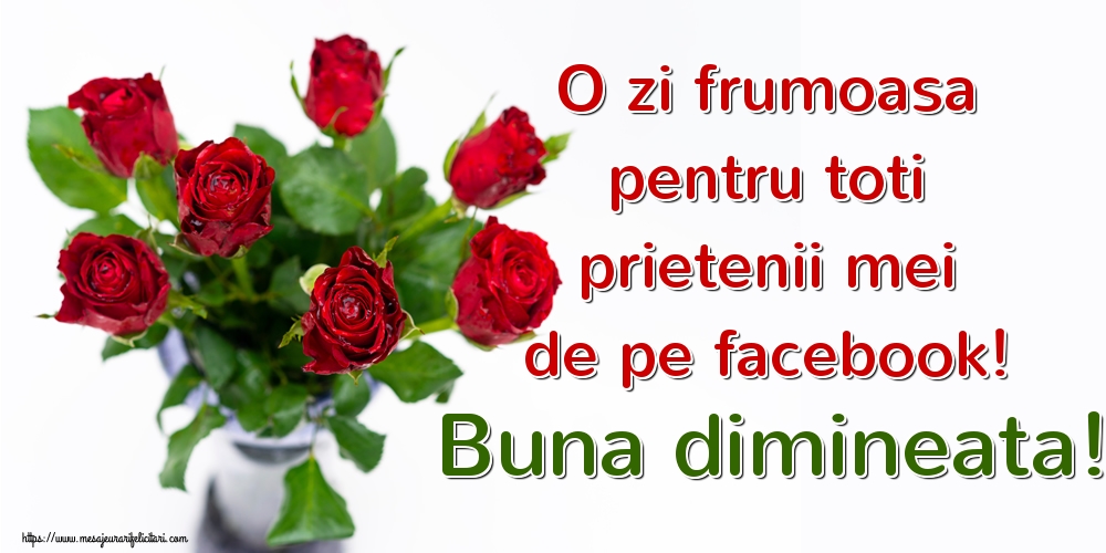 Felicitari de buna dimineata - O zi frumoasa pentru toti prietenii mei de pe facebook! Buna dimineata! - mesajeurarifelicitari.com