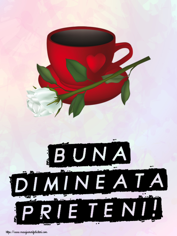 Felicitari de buna dimineata - ☕ Buna Dimineata Prieteni! ~ cafea și un trandafir alb - mesajeurarifelicitari.com