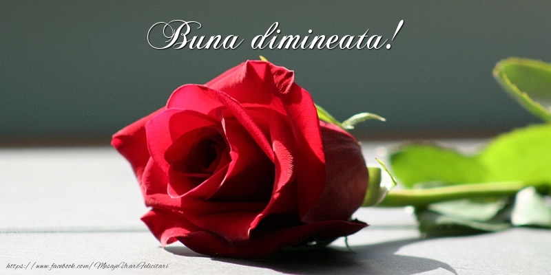 Buna dimineata!