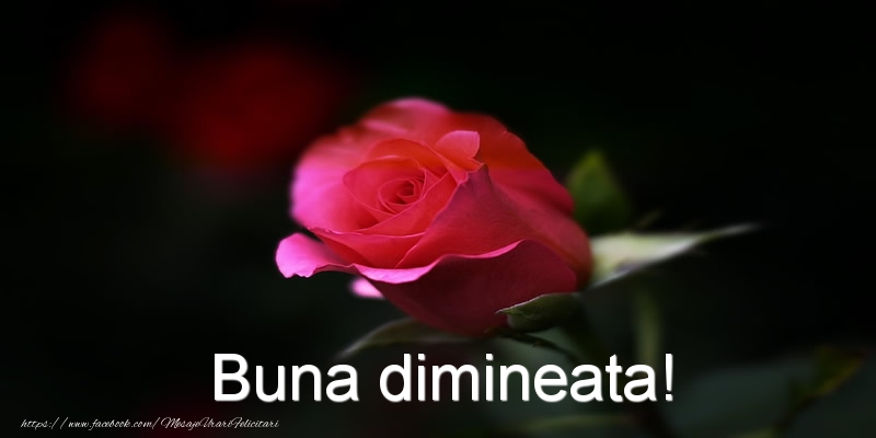 Buna dimineata!