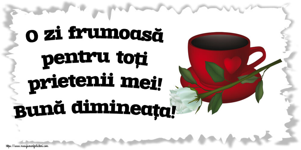 Felicitari de buna dimineata - ☕ O zi frumoasă pentru toți prietenii mei! Bună dimineața! ~ cafea și un trandafir alb - mesajeurarifelicitari.com