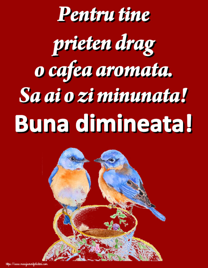 Felicitari de buna dimineata - ☕ Pentru tine prieten drag o cafea aromata. Sa ai o zi minunata! Buna dimineata! ~ cană de cafea cu pasărele - mesajeurarifelicitari.com