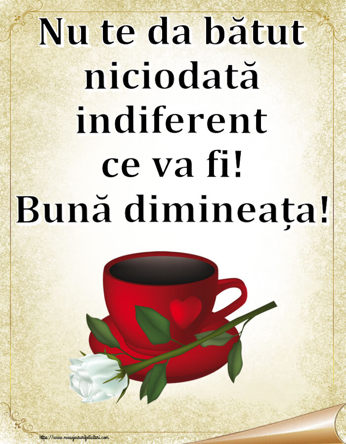 Buna dimineata Nu te da bătut niciodată indiferent ce va fi! Bună dimineața! ~ cafea și un trandafir alb