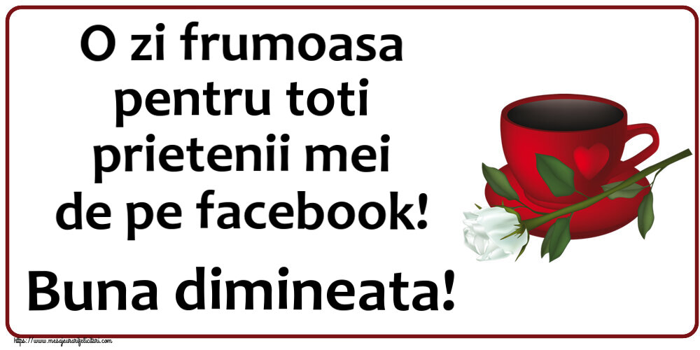 O zi frumoasa pentru toti prietenii mei de pe facebook! Buna dimineata! ~ cafea și un trandafir alb