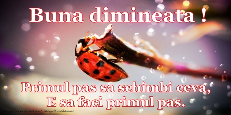 Buna dimineata, primul pas sa schimbi ceva, e sa faci primul pas!