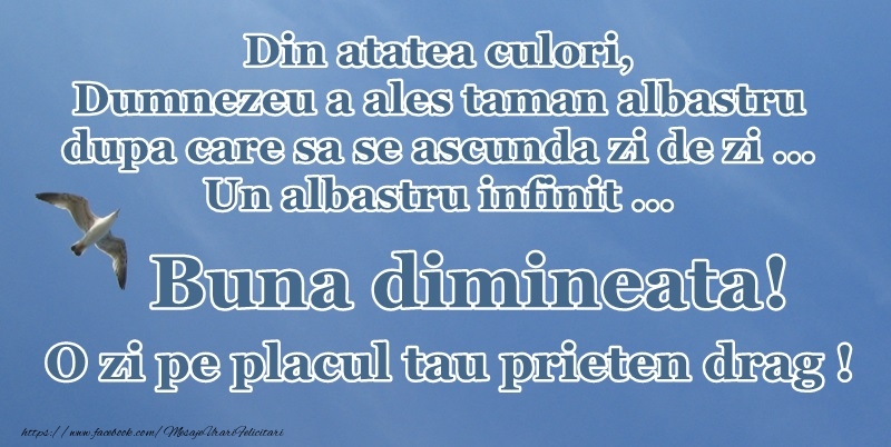 Buna dimineata! O zi pe placul tau, prieten drag! Din atatea culori, Dumnezeu a ales taman albastrul dupa care sa se ascunda zi de zi... Un albastru infinit...