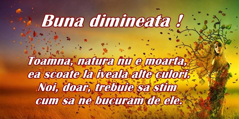 Buna dimineata! Toamna, natura nu e moarta, ea scoate la iveala, alte culori. Noi, doar trebuie sa stim cum sa ne bucuram de ele!