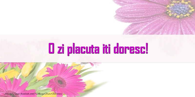 O zi placuta iti doresc!