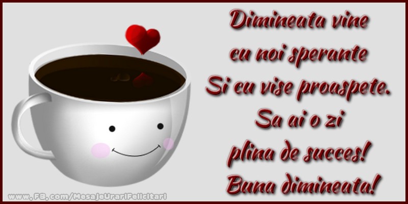 Dimineata vine cu noi sperante si cu vise proaspete