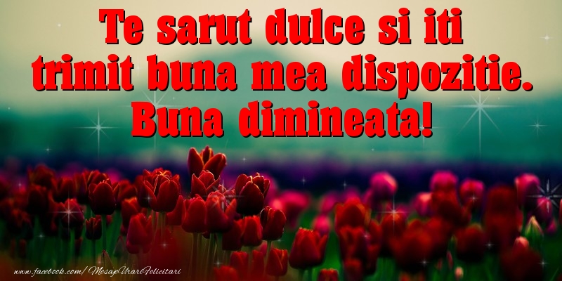 Buna dimineata