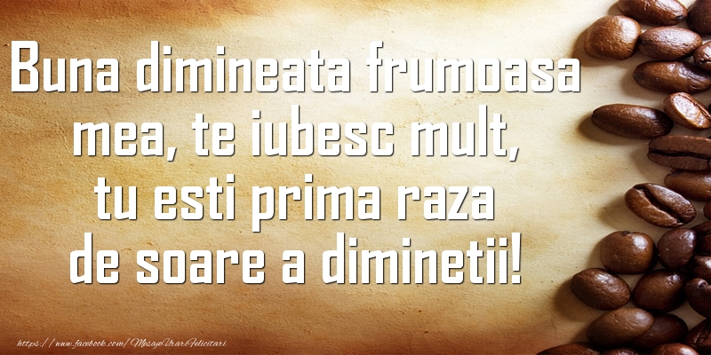 Buna dimineata frumoasa mea