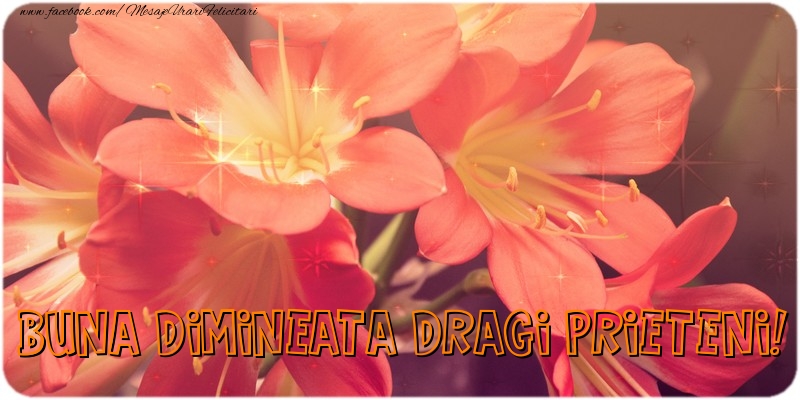 Buna dimineata dragi prieteni!