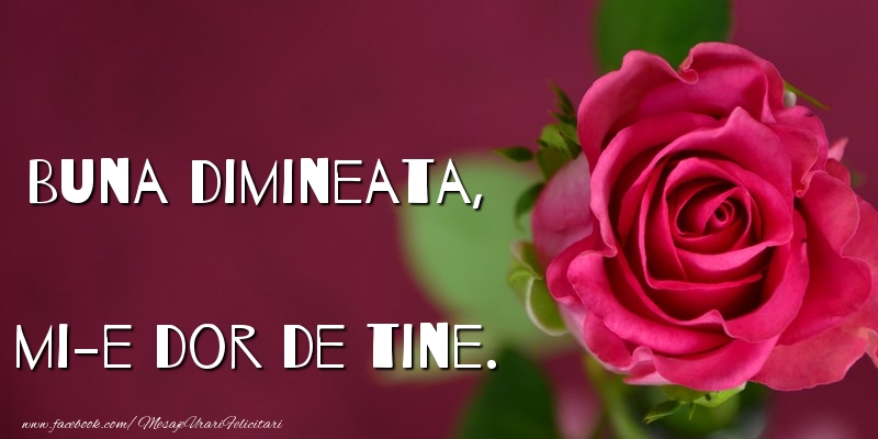 Buna dimineata, mi-e dor de tine.