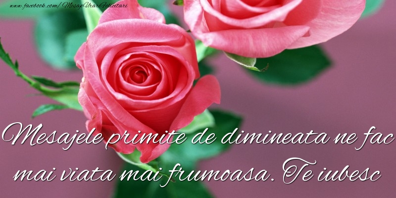 Mesajele primite de dimineata ne fac mai viata mai frumoasa. Te iubesc