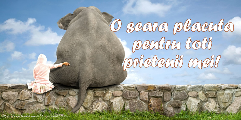 O seara placuta pentru toti prietenii mei!