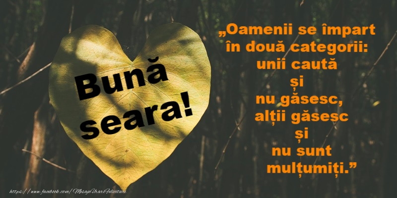 Buna seara prieteni!